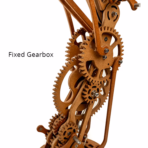 Then there was Night Fixed Gearbox