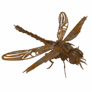 Dragonfly by Mark Robertson Creations